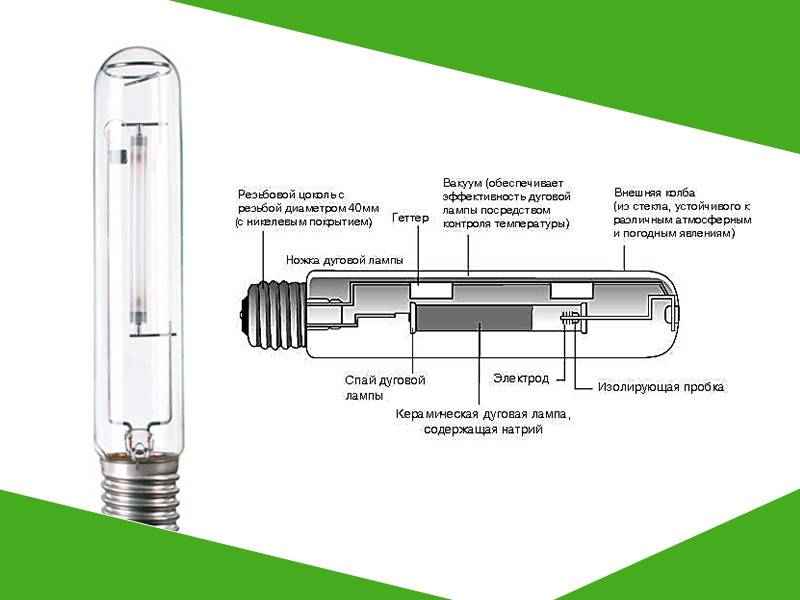 Конструктивные особенности ДНаТ ламп